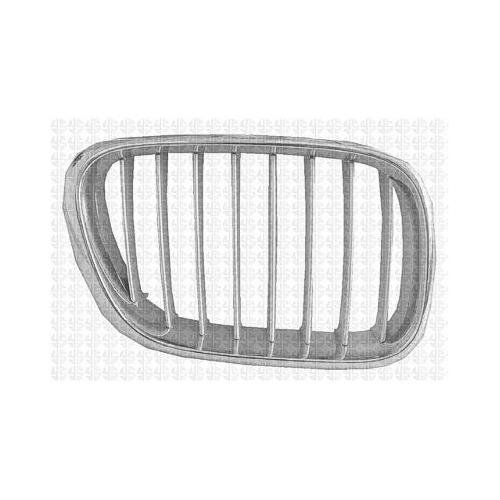 Front Right Grille Titanium Plastic