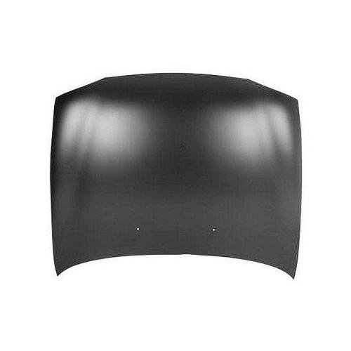 Hood 1997-2002 Ford Escort