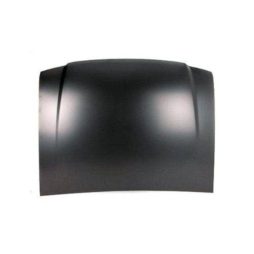 Hood 1998-2003 Ford Ranger