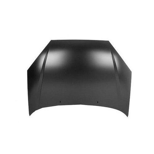 Hood 2000-2004 Ford Focus