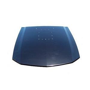 Hood 2005-2009 Ford Mustang