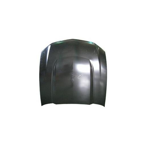 Hood 2010-2012 Ford Mustang