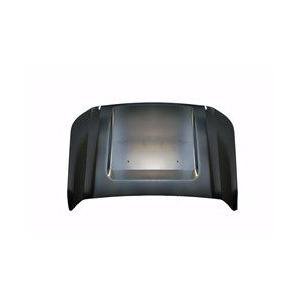 Hood 2011-2016 Ford F-Series Super Duty Pickup