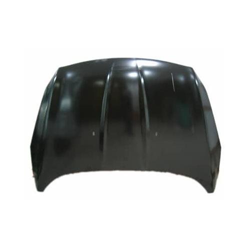 Hood 2013-2016 Ford Escape