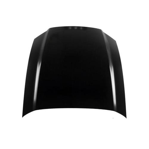Hood 2013-2014 Ford Mustang