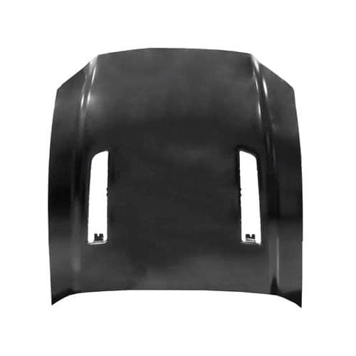 Hood 2013-2014 Ford Mustang