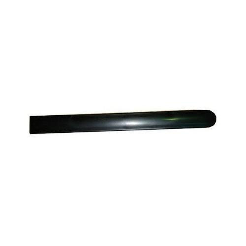 Door Molding 1999-2008 Ford Crown Victoria