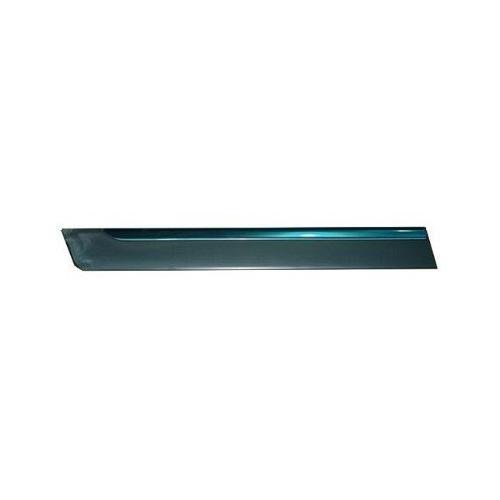 Rear Right Door Side Molding GS|GS Convenience|LS Narrow Molding