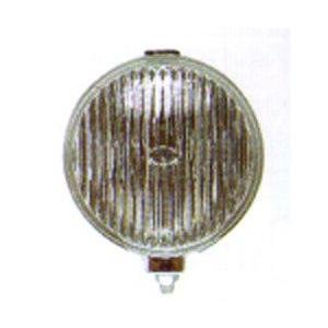 Fog Lamp Assembly 1999-2000 Ford F-Series Light Duty Pickup