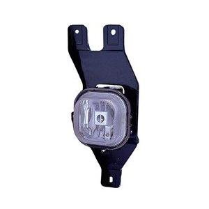 Fog Lamp Assembly 2001-2004 Ford Excursion
