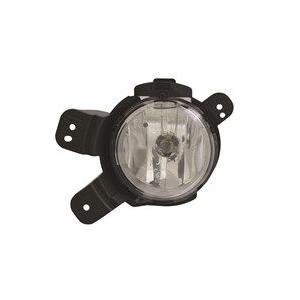 Front Left Bumper Fog Lamp Assembly