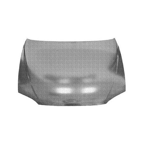 Hood Panel 2002-2004 Kia Spectra