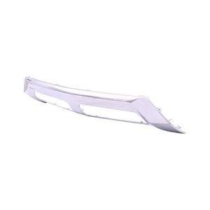Front Bumper Valance W166
