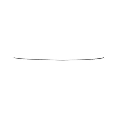 Rear Bumper Molding Center Molding Bright