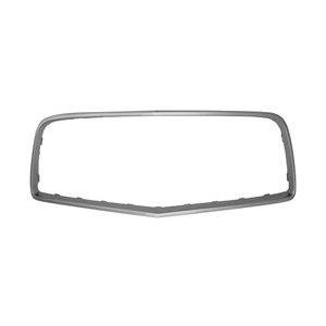 Front Grille Surround W218