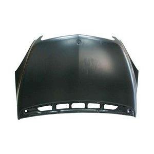 Front Hood Panel W245