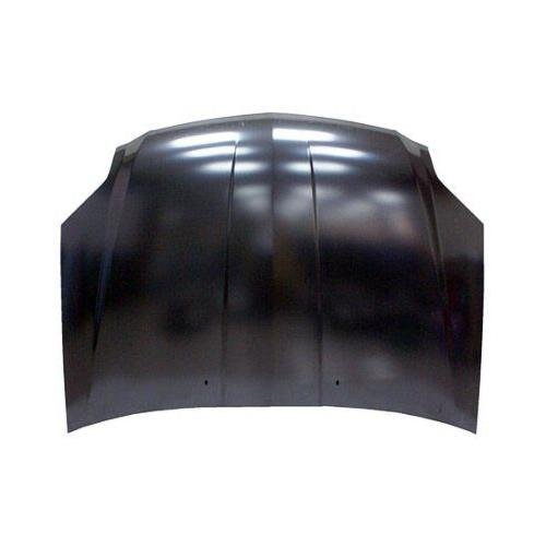 Front Hood Panel Without Molding Holes fits 2.4L and 3.8L With Railliart Package