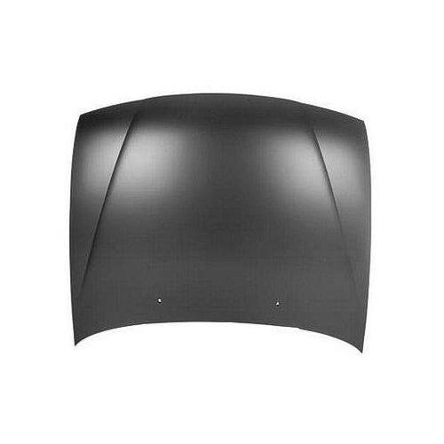 NI1230146V Hood 1995-1998 Nissan Sentra F51001M230