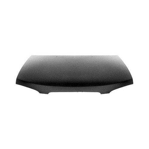 NI1230155C Hood 2000-2003 Nissan Sentra F51005M030