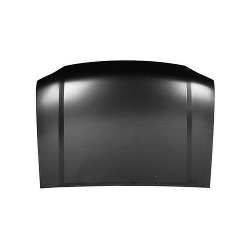 NI1230156C Hood 2001-2004 Nissan Frontier 651009Z435