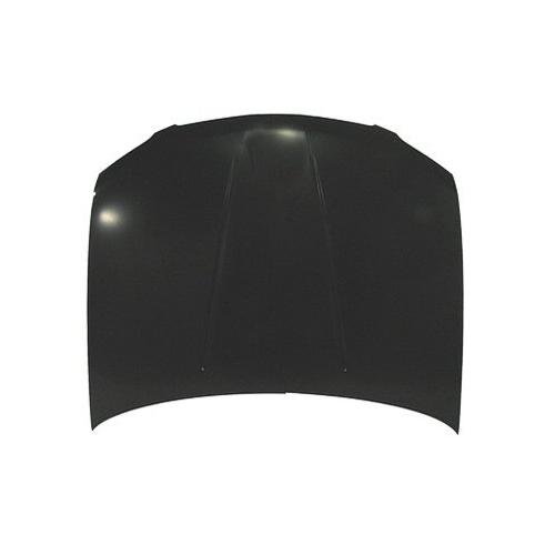 NI1230165C Hood 2004-2006 Nissan Sentra F51006Z530