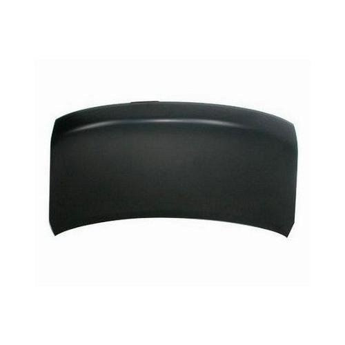 NI1230182C Hood 2009-2014 Nissan Cube FEA0M1FAMA