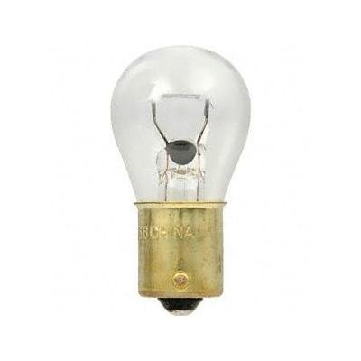 Rear Back Up Tail Lamp Bulb