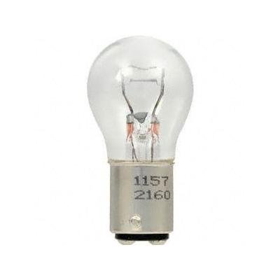 Rear Tail Lamp Bulb